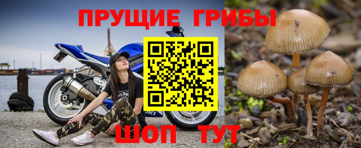 Галлюциногенные грибы мухоморы  Вход с VPN  Зеленокумск 